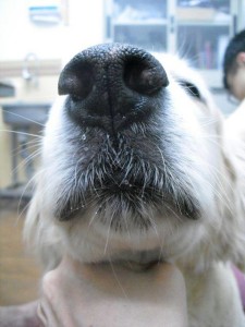 1069418_10200147681673108_2048707817_n