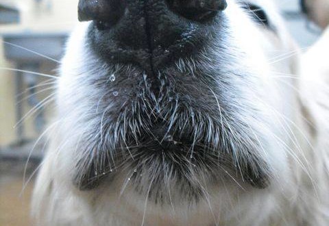 1069418_10200147681673108_2048707817_n