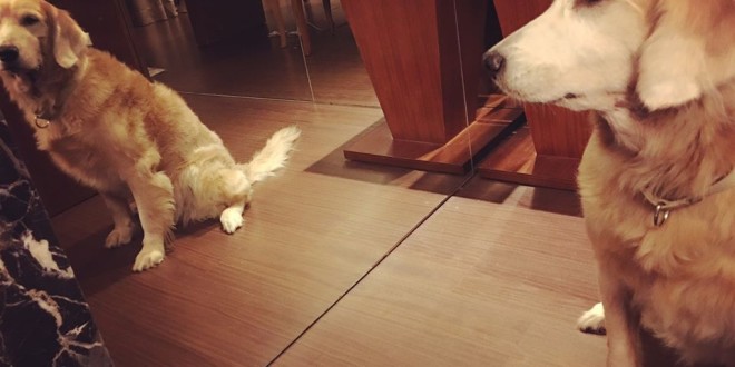 16003045_10207427108214222_3349148669560501108_n