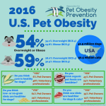 2016-US-Pet-Obesity-Infographic