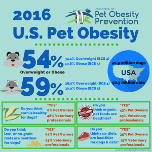 2016-US-Pet-Obesity-Infographic