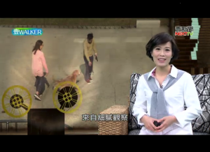 螢幕快照 2018-01-27 下午10.01.51