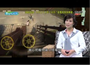 螢幕快照 2018-01-27 下午10.02.08