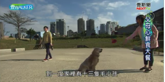 螢幕快照 2018-01-27 下午10.09.54