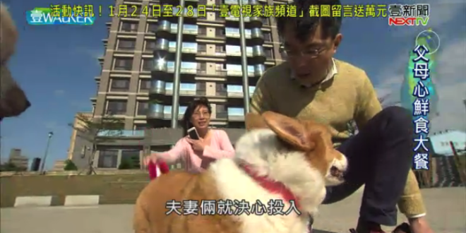 螢幕快照 2018-01-27 下午10.10.01