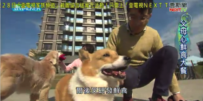 螢幕快照 2018-01-27 下午10.10.04