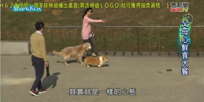 螢幕快照 2018-01-27 下午10.10.18