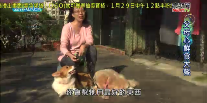 螢幕快照 2018-01-27 下午10.10.20