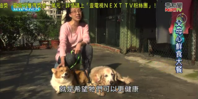 螢幕快照 2018-01-27 下午10.10.27