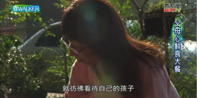 螢幕快照 2018-01-27 下午10.12.11