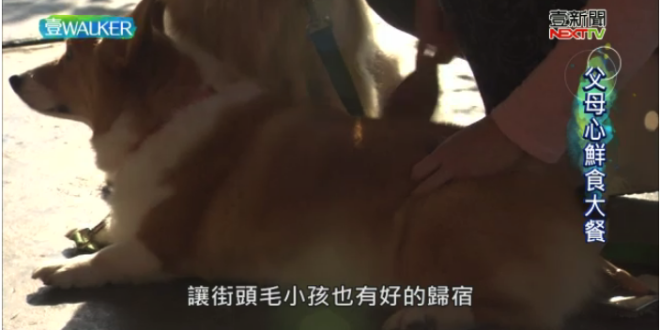 螢幕快照 2018-01-27 下午10.12.18