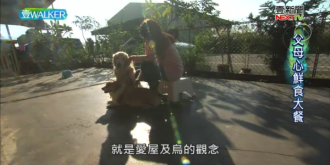 螢幕快照 2018-01-27 下午10.12.23