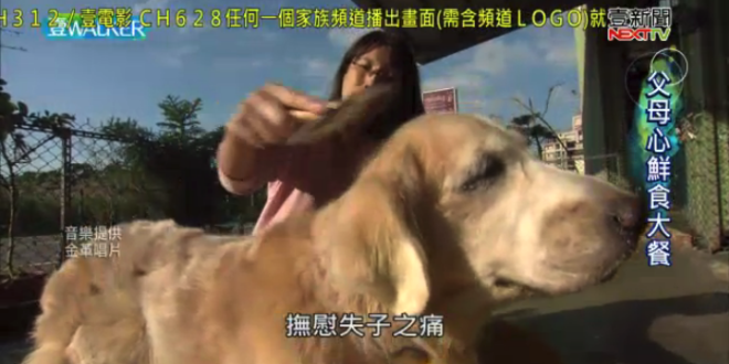 螢幕快照 2018-01-27 下午10.12.53