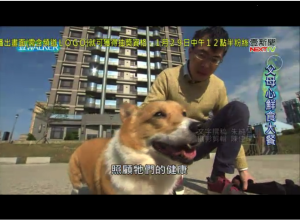 螢幕快照 2018-01-27 下午10.12.57