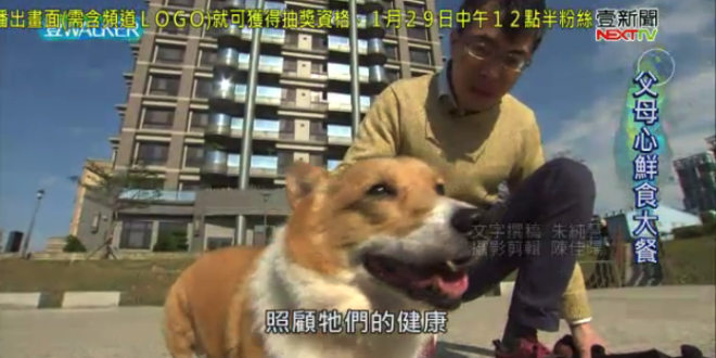 螢幕快照 2018-01-27 下午10.12.57