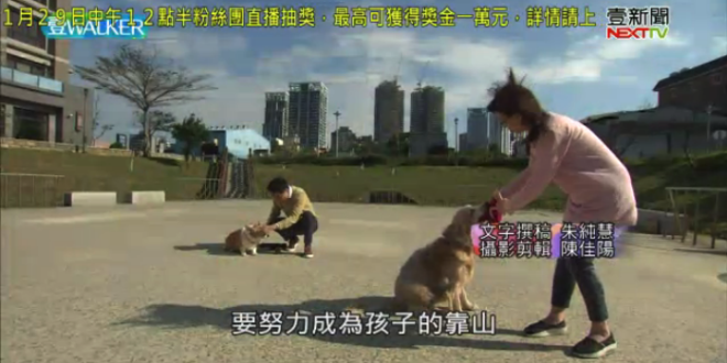 螢幕快照 2018-01-27 下午10.13.02