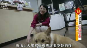 螢幕快照 2019-02-08 下午12.29.04