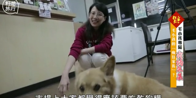 螢幕快照 2019-02-08 下午12.29.04