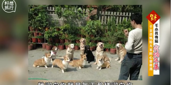 螢幕快照 2019-02-08 下午12.29.39