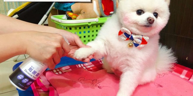 52134227_752205231824554_2310032904429764608_n