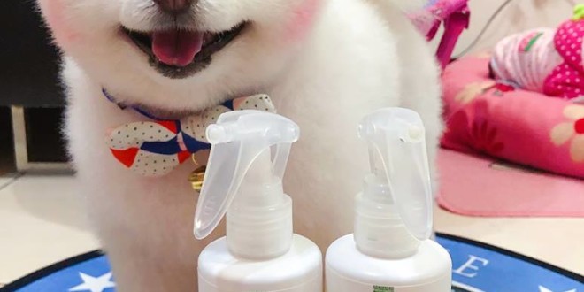 52165043_751172765261134_4261541957832015872_n