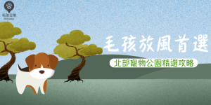 毛孩放風首選