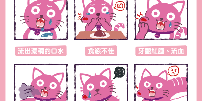 貓咪口炎-01