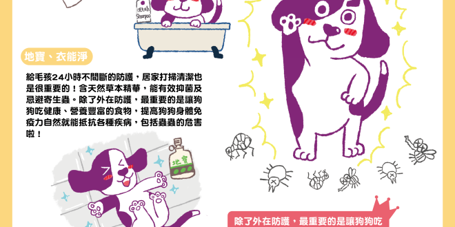 狗寄生蟲防治-02