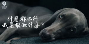 嗅聞使狗狗更快樂blogger