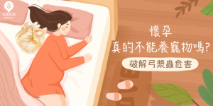 懷孕不能養寵物