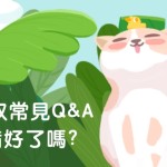 新手貓奴常見QA