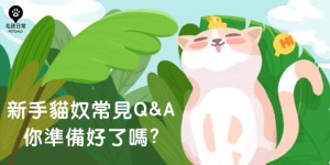 新手貓奴常見QA