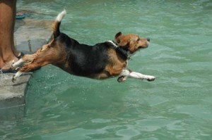 1380945557-752306727