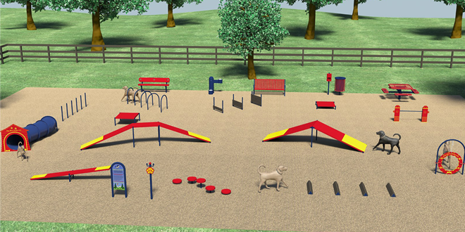 dogpark1
