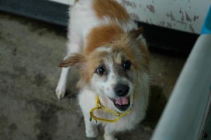 81070711_10214602520395042_6875277132247859200_n