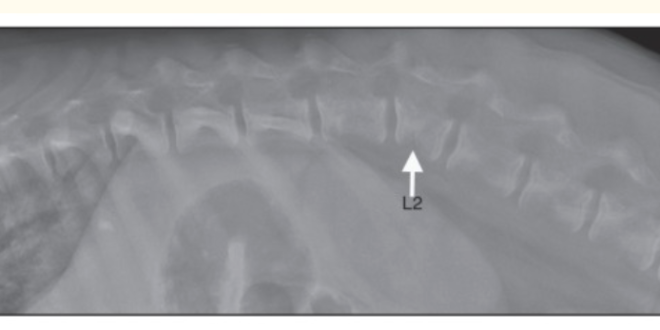 螢幕快照 2020-07-22 下午3.56.25