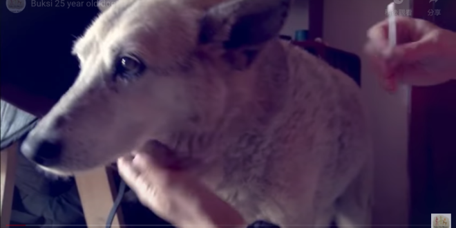 螢幕快照 2020-08-24 上午1.04.57