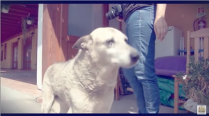 螢幕快照 2020-08-24 上午1.05.11