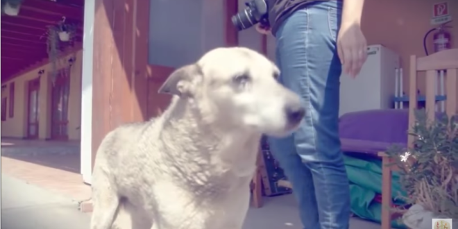 螢幕快照 2020-08-24 上午1.05.11