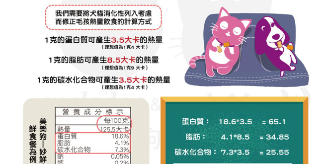 111802369_3744459562237764_4435774187798947394_o