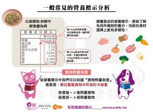 116023157_3740717125945341_2535377803832999030_o