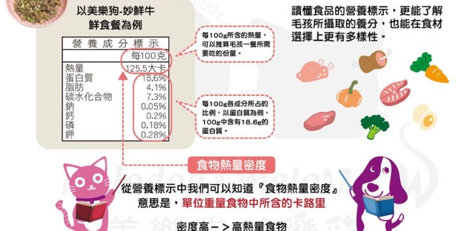 116023157_3740717125945341_2535377803832999030_o