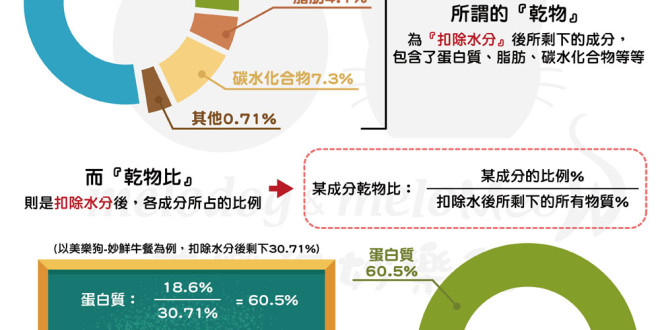 116375155_3740729715944082_6567824178240040586_o