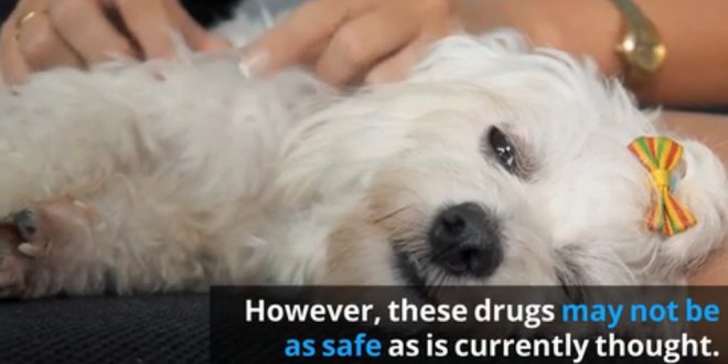 螢幕快照 2020-10-06 下午3.24.37