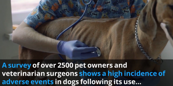 螢幕快照 2020-10-06 下午3.24.46