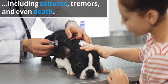 螢幕快照 2020-10-06 下午3.24.49