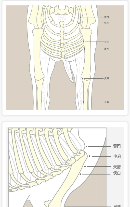 穴位5