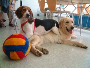 20476482_10208888428746322_200331845488848164_n