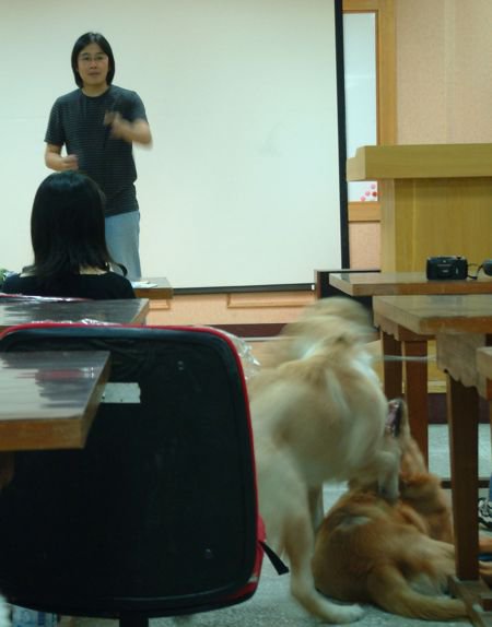 60032_1437343891930_1755750_n