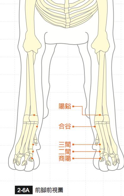 合谷